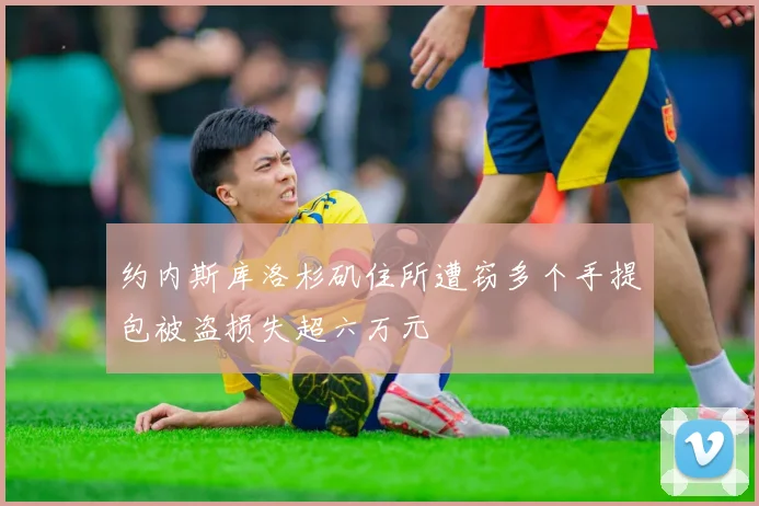 约内斯库洛杉矶住所遭窃多个手提包被盗损失超六万元