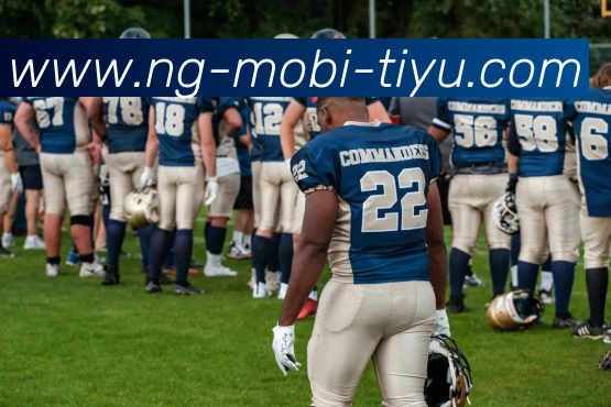 南宫体育平台生态图